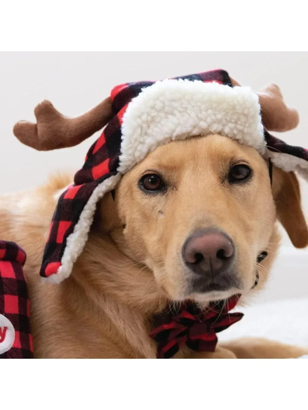 NWT Huxley & Kent XL Dog Antler Hat Buffalo Plaid Christmas Holiday Pet Hat